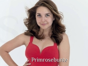 Primrosebunte