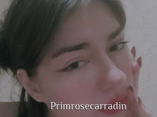 Primrosecarradin