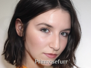 Primrosefurr