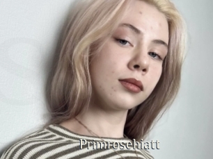 Primrosehiatt