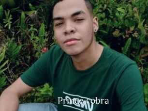 Prince_cobra