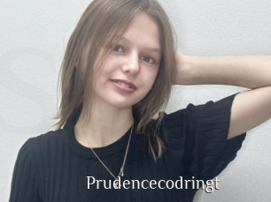 Prudencecodringt