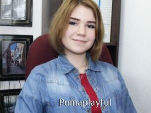 Pumaplayful