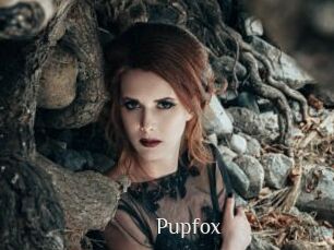 Pupfox