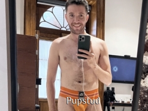 Pupstud