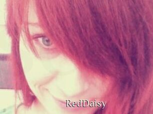 RedDaisy