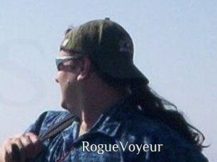RogueVoyeur