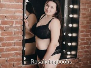 Rosaliebigboobs