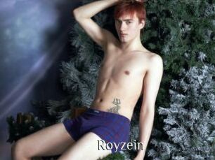 Royzein