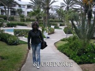 SUCREDORGE Shop coquin