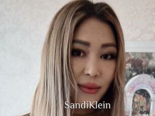 SandiKlein