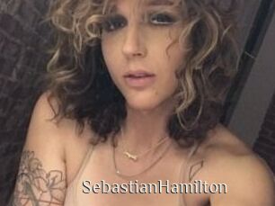 Sebastian_Hamilton Shop coquin