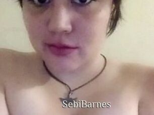 Sebi_Barnes