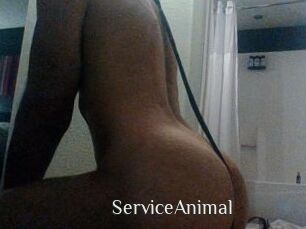 ServiceAnimal