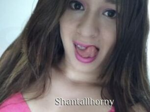 Shantallhorny