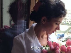 Silkworm