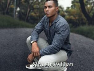 SilvestreWillian Shop coquin