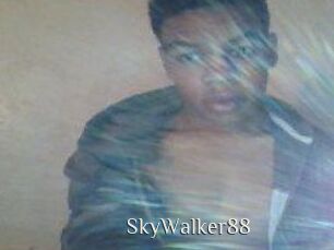 SkyWalker88