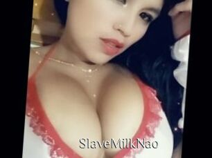 SlaveMilkNao