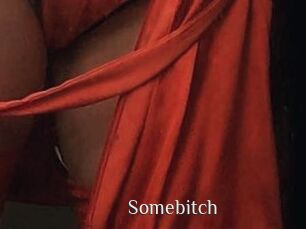 Somebitch