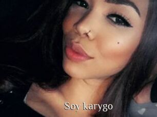 Soy_karygo