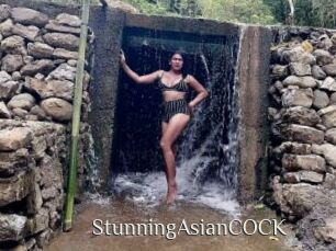 StunningAsianCOCK