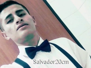 Salvador20cm