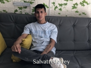 Salvatredelrey