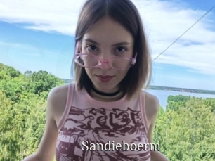 Sandieboerm