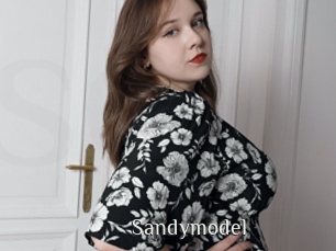 Sandymodel