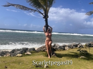 Scarletpegasi19