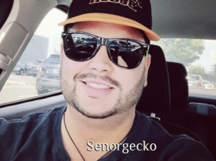 Senorgecko