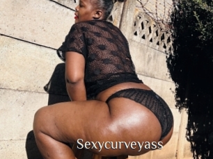 Sexycurveyass