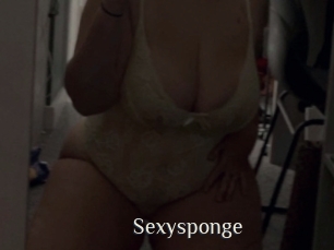Sexysponge