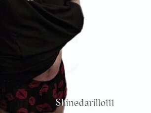 Shinedarillo111