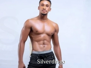 silverdingo Shop coquin