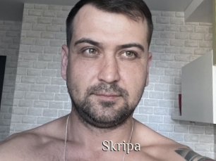 Skripa