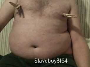 Slaveboy3164