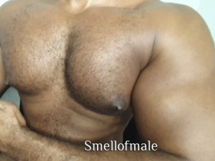 smellofmale Shop coquin