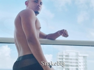 snakebig Shop coquin