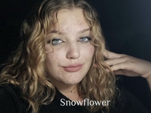 snowflower Shop coquin