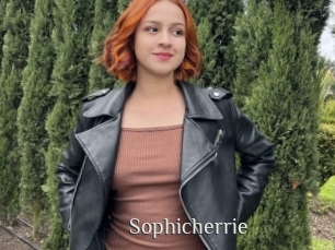 Sophicherrie