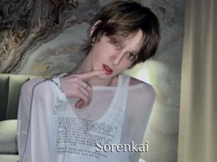 sorenkai Shop coquin