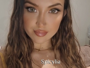 spicylia Shop coquin