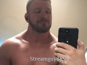 Streamguy8895