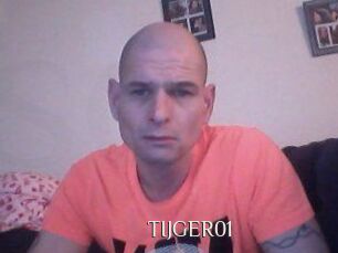 TIJGER01