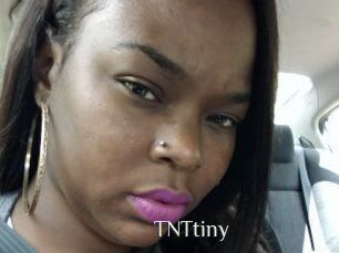 T_N_Ttiny