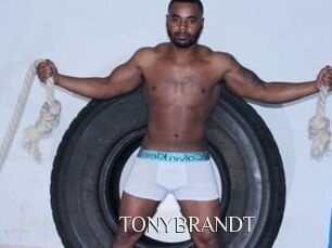 TONYBRANDT