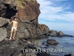 TWINKELIKINGUD