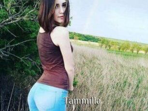 Tammilla_